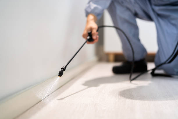 Rodent Entry Point Assessment in Aliso Viejo