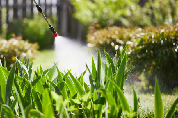 Tamper-Resistant Bait Stations for Rodents in Aliso Viejo
