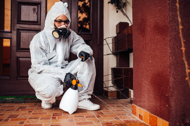 Attic and Crawl Space Rodent Treatment in Aliso Viejo